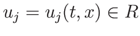 $u_j=u_j(t,x)\in R$