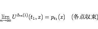\begin{displaymath}
\lim_{n\rightarrow\infty}U^{\Delta_n(1)}(t_1,x)= p_{t_1}(x)\hspace{1zw}(\mbox{«})
\end{displaymath}