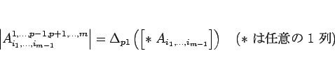 \begin{displaymath}
\left\vert A^{1,\ldots,p-1,p+1,\ldots,m}_{i_1,\ldots,i_{m-1}...
...m-1}}\right]\right)
\hspace{1zw}(\mbox{$\ast$\ Ǥդ 1 })
\end{displaymath}
