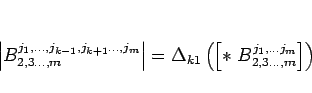 \begin{displaymath}
\left\vert B^{j_1,\ldots,j_{k-1},j_{k+1}\ldots,j_m}_{2,3\ldo...
...eft(\left[\ast\ B^{j_1,\ldots j_m}_{2,3\ldots,m}\right]\right)
\end{displaymath}